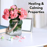 🌹Elegant Climbing Rose Flower Seeds |  ⭐⭐⭐⭐ 24,000+ REVIEWS