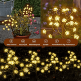 🌺 SolarLamps™ Vibrant Garden Lights Solar Powered | ⭐⭐⭐⭐ 24,000+ REVIEWS